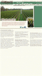 Mobile Screenshot of ferrantewinery.com